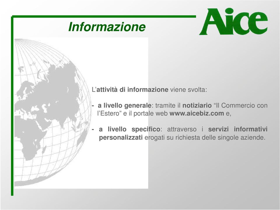 portale web www.aicebiz.