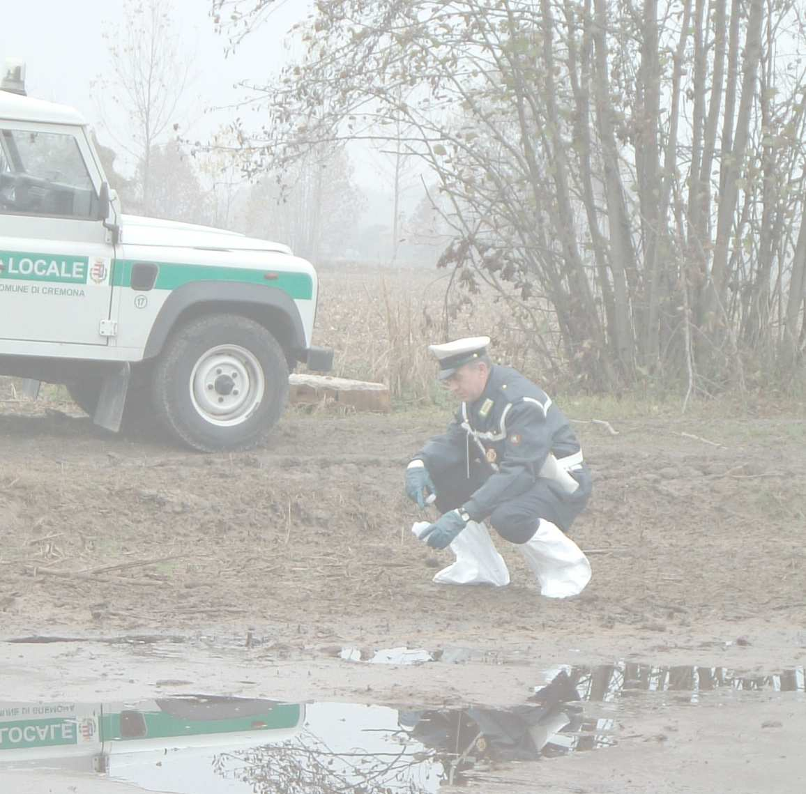 U.O. Polizia Ambientale Anno 206 Numero indagini/atti protocollati 343 Sanzioni amministrative ambientali 73 Altre sanzioni non codice della strada Reati ambientali accertati 3 Distribuzione per