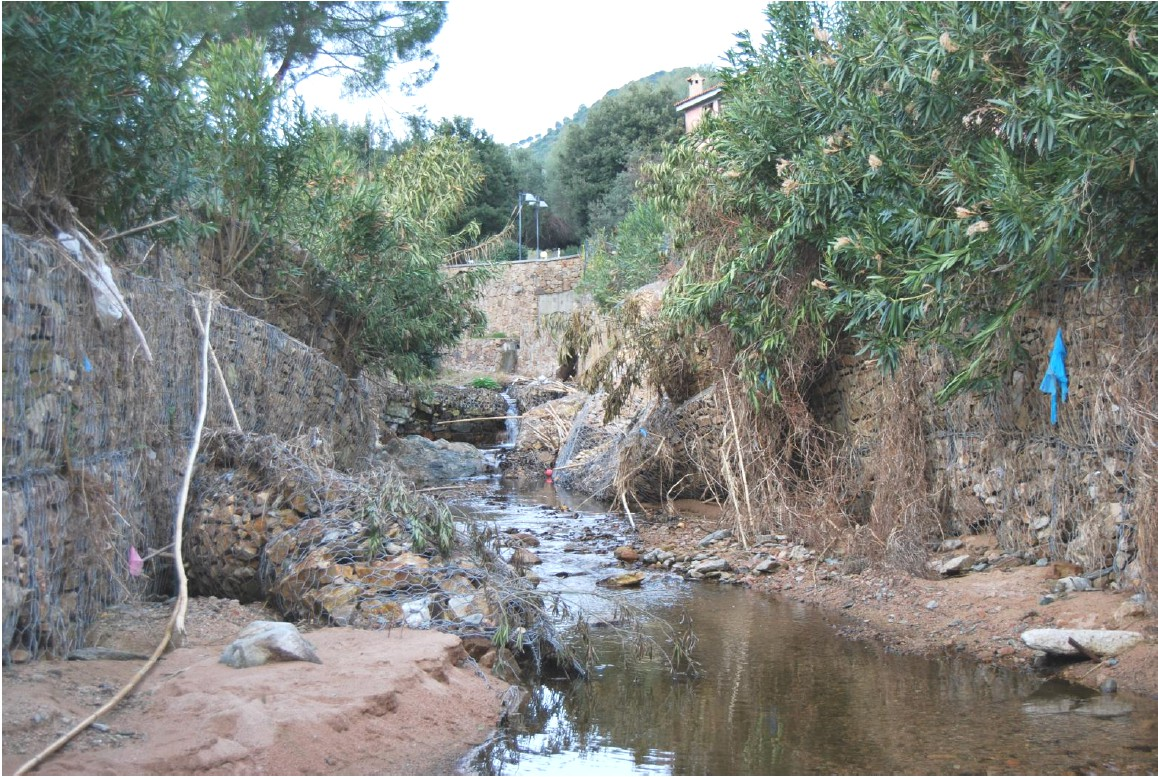 A seguito di recenti ricognizioni compiute all interno dell alveo, si è rilevato che il dissesto dei due ordini di gabbioni superiori è avvenuto per circa una decina di metri di canale nel tratto