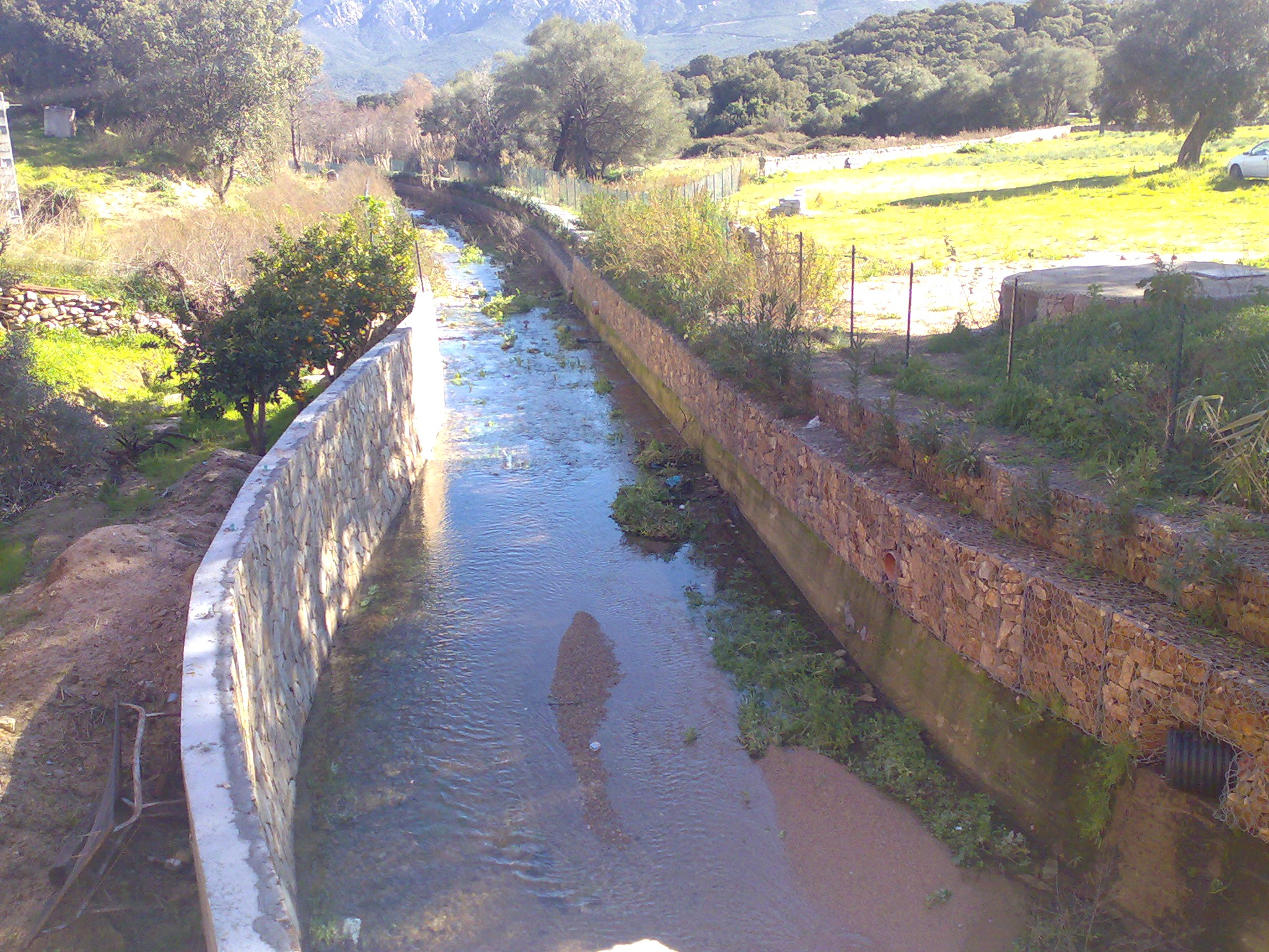 Foto 1) Tratto iniziale dell intervento sul rio Sa Traina ripreso da valle verso monte: sulla sinistra è visibile il muro in calcestruzzo rivestito in pietrame