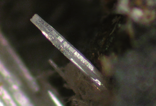 Fig. 26a. Cerussite, cristallini di 0,5 mm ricoperti da una patina rossastra. Fig. 26b. Spettro al SEM-EDS della cerussite rappresentata in fig. 26a. La presenza del Fe è dovuta molto probabilmente alle patine rossastre di ossidazione dello stesso elemento che ricoprono la cerussite.