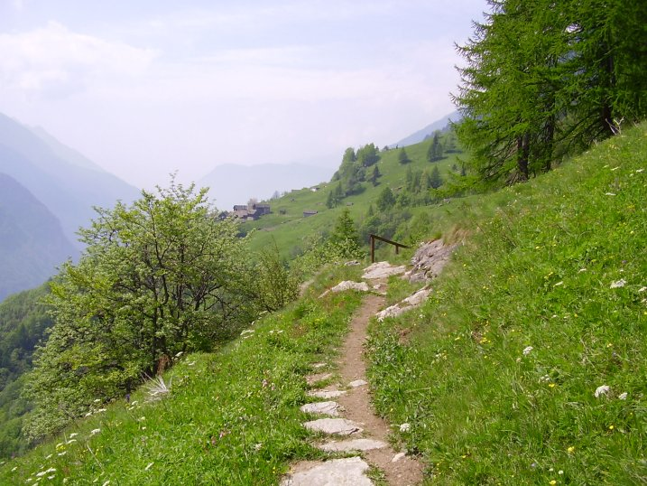 Oggi l'ossola è una realtà turistica moderna con un'offerta che spazia dalla montagna estiva a quella degli sport invernali, da itinerari enogastronomici a soggiorni termali.