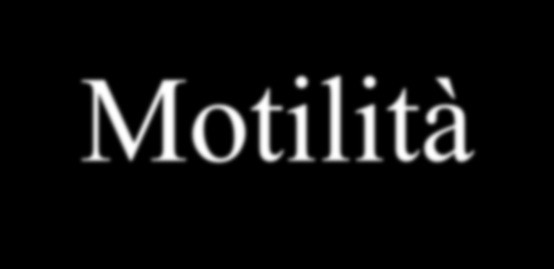 Motilità La motilità è una caratteristica fondamentale della materia vivente Dagli organismi unicellulari a quelli più evoluti, la motilità si manifesta nelle forme più svariate La espressione più