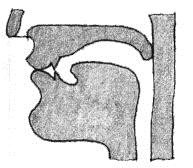 I suoni [p] e [b] [p] è una consonante sorda, occlusiva, bilabiale, plosiva. [b] è una consonante sonora, occlusiva, bilabiale, plosiva.