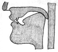 I suoni [k] e [g] [k] è una consonante sorda, occlusiva, dorso-velare, plosiva. [g] è una consonante sonora, occlusiva, dorso-velare, plosiva.