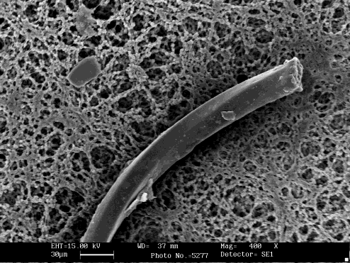 FASE SPERIMENTALE SIMULAZIONI SU SCALA DI LABORATORIO. 1.