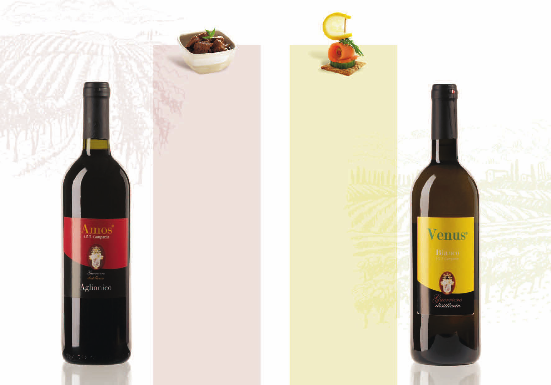 venus vino bianco Venus nasce esclusivamente da vigne curate con pratiche enologiche, nel rispetto dell ambiente. Il colore ambrato giallo paglierino e il profumo intenso denotano la nobiltà del vino.