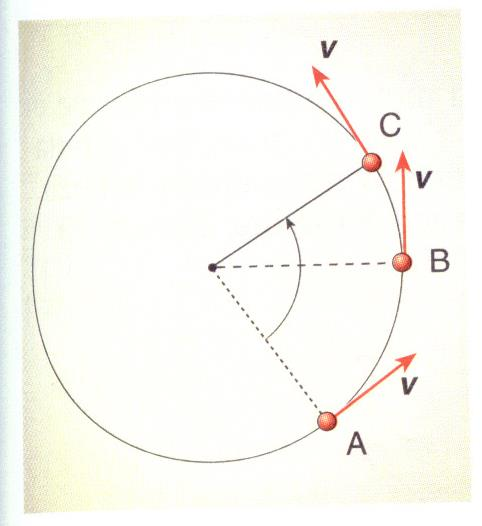 16 Quando un punto si muove lungo una circonferenza, la sua velocità è rappresentata da un vettore tangente alla circonferenza.