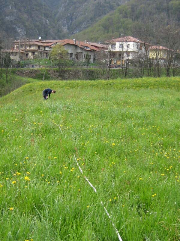 PIANO SISMICO DI ALBINO: INDAGINI REMI - STESURA DEI CAVI