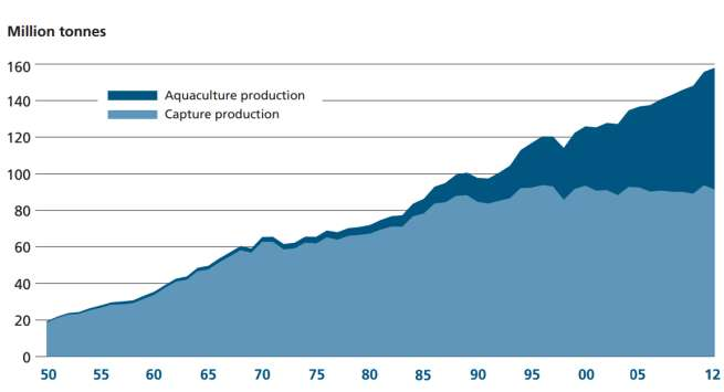2. Il quadro generale sul consumo del pesce Dall ultimo rapporto della FAO 1 sullo stato mondiale della pesca e dell'acquacoltura, emerge che la produzione ittica globale è cresciuta costantemente