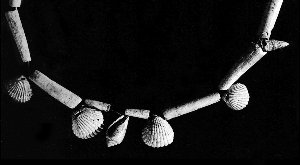 FOTO 1 Straordinario insieme di grani del Paleolitico Superiore comprendente varie specie di conchiglie fossili da Pavlov, sito gravettiano orientale nell odierna Cecoslovacchia, 28.