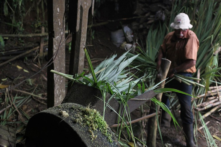 UNO DEI PROGETTI: COOPECAÑERA Costa Rica, zucchero di canna.