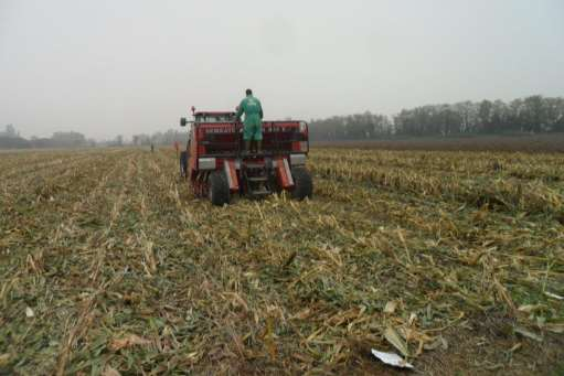 Risorsa Aria: L aumento della sostanza organica in No-Tillage 33 Residui colturali Cover Crop Aumento della