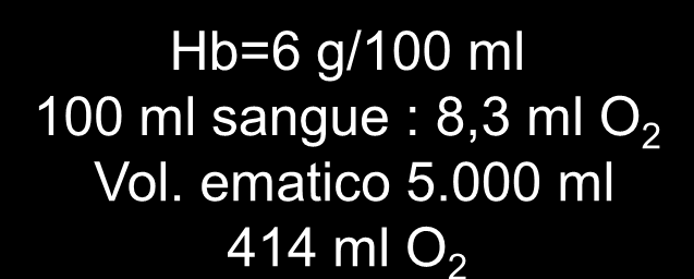 Hb lega O 2 e lo trasporta ai tessuti Hb=15 g/100 ml 100 ml sangue : 20,7 ml O 2 Vol. ematico 5.000 ml 1.