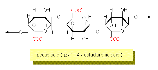 Acido