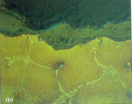 carburi di cromo coagulano e migrano verso i bordi dei grani formando dei reticoli più o meno consistenti (vedi fig.6).