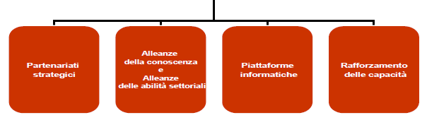 KA 2: Cooperazione per l innovazione e lo scambio di buone prassi Sviluppo, trasferimento, implementazione di pratiche innovative Scambio di buone pratiche Facilitare lo scambio tra il mondo del