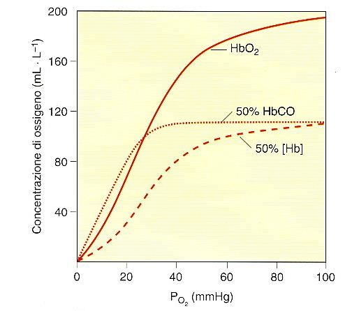 Influenza del CO sulla curva di dissociazione di O2 l Hb ha una affinità 250 volte maggiore per il CO il CO sposta la curva di saturazione