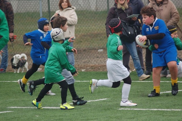 L atmosfera con cui si respira il rugby a Settimo unita alla qualità delle strutture, evidentemente piace.