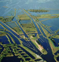 In motonave alla Foce del Po Da Gorino lungo i rami meridionali del delta, sino all Isola dell Amore, costeggiando la Riserva Statale della Sacca di Goro, l Isola dei Gabbiani e del Bacucco, alla