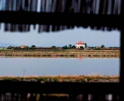 La pesca nelle Valli di Comacchio Il percorso prevede una navigazione con le tipiche imbarcazioni dei vallanti nella splendida cornice di Valle Campo.