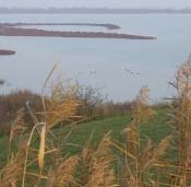 Escursione in motonave nelle Valli di Comacchio Escursione attraverso gli specchi d acqua delle Valli di Comacchio; un itinerario alla scoperta dell affascinante natura, della ricca avifauna e delle