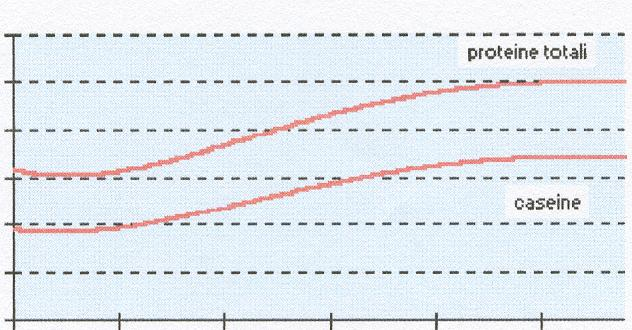 9 8 7 % Contenuto percentuale di grasso 6 5 4 5 8 48 88 128 168 208 Giorni di lattazione durante la lattazione di Pecora Massase (Pugliese 1998)