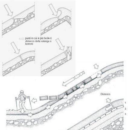 Valanghe a lastroni Le valanghe a lastroni sono dovute al improvviso di un intero lastrone di neve coerente, a partire da un fronte più o meno esteso.