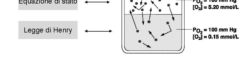 La solubilità di un gas in un liquido dipende da: temperatura, pressione parziale del gas, natura del solvente, natura del gas.