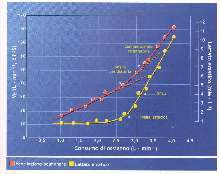 OBLA e VO 2 max sono indipendenti Soggetti allenati OBLA a valori di VO 2 max più elevati OBLA cambia anche se VO 2 max rimane stabile OBLA dipende dal tipo di fibre, dalla densità