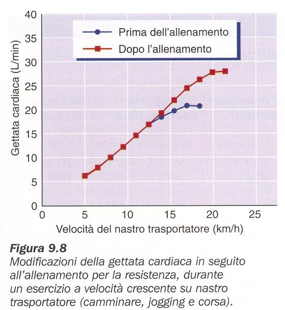 4) Gettata cardiaca.