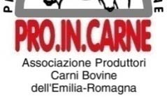 UN PROGETTO PER LA ZOOTECNIA BOVINA DA CARNE IN ITALIA OBIETTIVO: