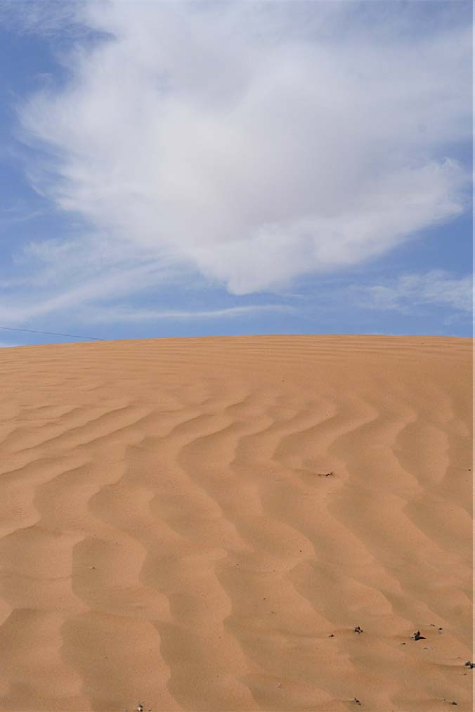 1. DESERTI SABBIOSI: Clima La forte instabilità diurna genera un andamento abbastanza regolare del regime dei venti.