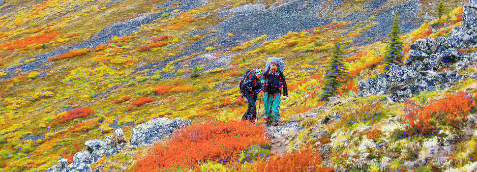 Itinerario dettagliato GIORNO DESCRIZIONE PASTI 1 Partenza con volo di linea per Whitehorse 2 Arrivo e trasferimento in hotel.