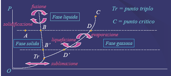 DIAGRAMMA DI FASE Il diagramma di fase riporta i possibili stati di aggregazione della materia a seconda della combinazione delle grandezze di stato.