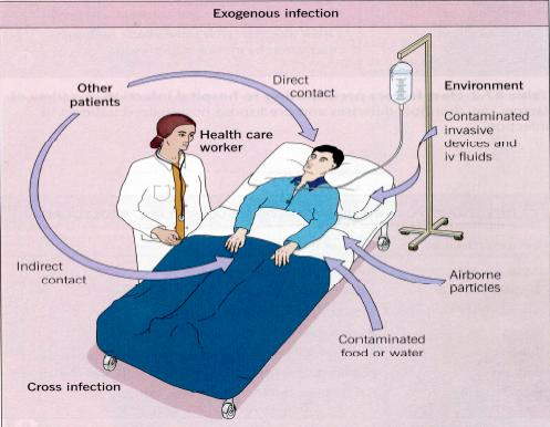 Infezioni esogene Partenza da un reservoir microbico ospedaliero.