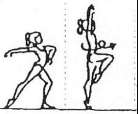 - Per la serie ginnica è possibile effettuare anche dei passaggi di danza collegati direttamente o indirettamente (con passi di corsa, piccoli saltelli, chassè, tour chaine).