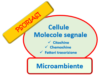 Cheratinociti Neutrofili Mastcellule Cellule dendritiche Linfociti T effettori