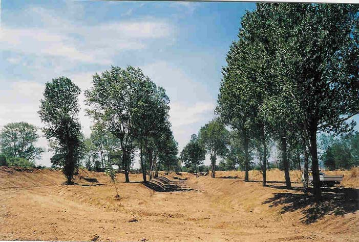 Bacino del Fiume Cornia Opere di ravvenamento della falda in Loc.