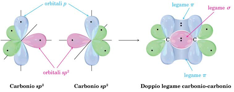 Se consentiamo che due atomi di carbonio ibridizzati sp 2 si accostino, essi formeranno un forte legame σ per sovrapposizione sp 2 -sp 2 e, quando ciò avviene, anche gli orbitali p non ibridizzati,