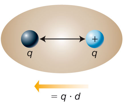 Molecole polari e apolari (II) Un dipolo è un sistema che ha due poli elettrici con carica q uguale ma di segno opposto, separati da