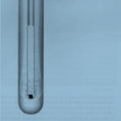 Dispositivo per la misura del punto triplo vapore solido liquido Solido-liquido-vapore possono coesistere soltanto