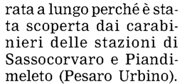 Estratto da pag.: 1,11 Sezione: ORDINE PUBBLICO Tiratura: n.d. Diffusione: n.