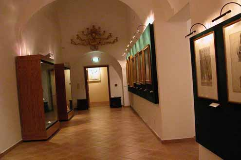 Salone grande A breve distanza del grande armadio del Museo della Basilica con gli oggetti appartenuti a Pio V potrebbe essere presentato, nella vetrina di fondo