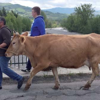 Costruire una carta dei sapori dell'appennino Pavese.