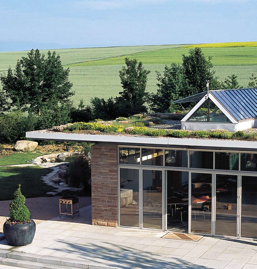 Perché un tetto verde vi dà di più. Cuscinetti verdi per la vostra casa.