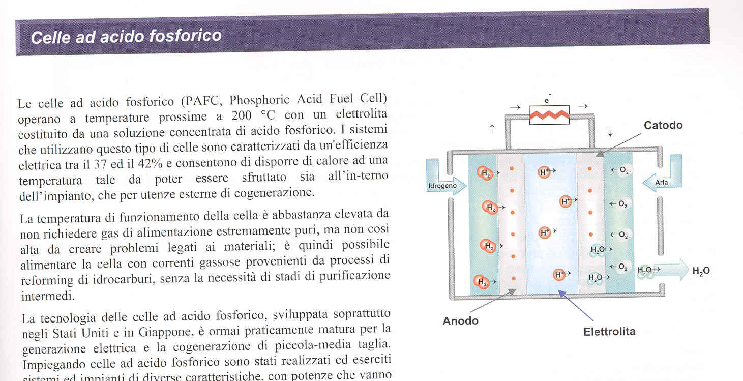 Celle ad Acido Fosforico (PAFC) Reazione anodica