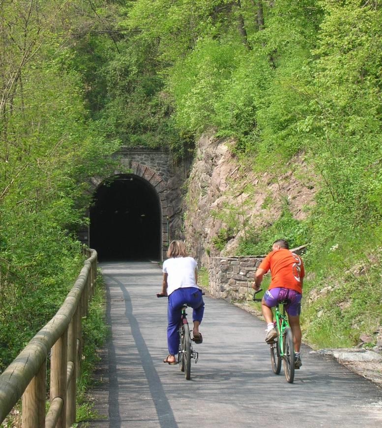 Le greenways: definizione Vie di comunicazione autonome riservate agli spostamenti con mezzi non motorizzati, realizzate nel quadro di uno sviluppo integrato che valorizzi l ambiente e la qualità