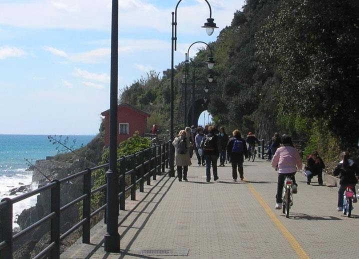 Il marchio «Binari Verdi» Obiettivi Premiare le greenways realizzate lungo vecchi tracciati ferroviari che presentano caratteristiche tecniche e ambientali di qualità, favorendone il riconoscimento e