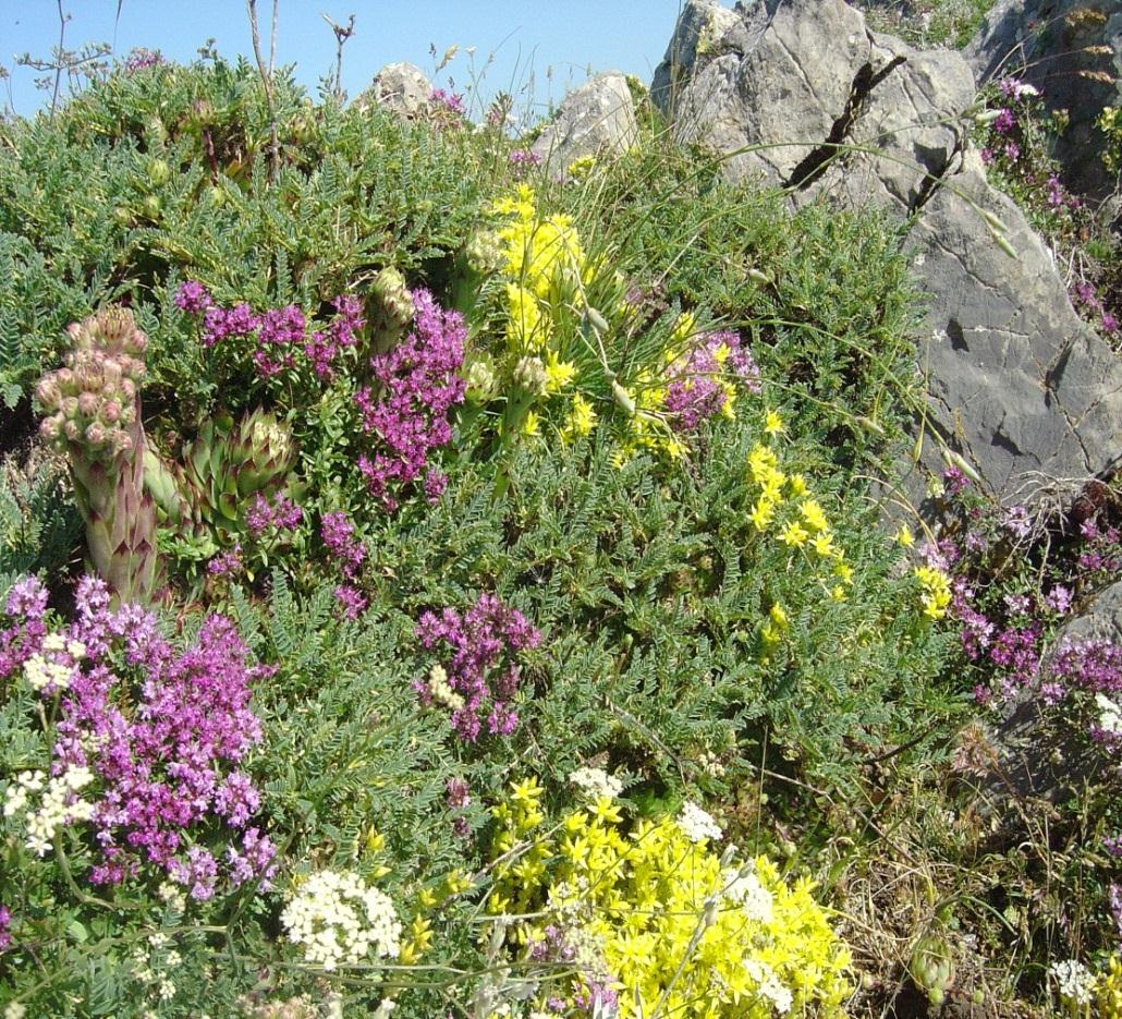 DIPARTIMENTO AMBIENTE E TERRITORIO, Per biodiversità